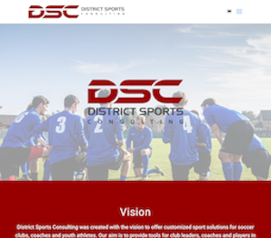 District Sports Consulting logo